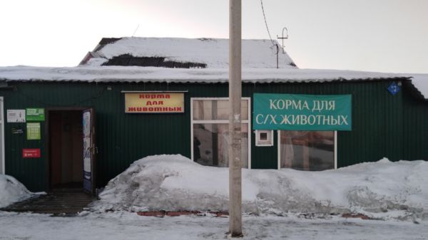 Аресты после пожара: что известно о приюте в Кемерово, где погибли 22 человека