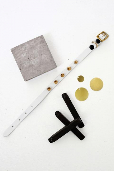 Делаем ошейник с медальоном