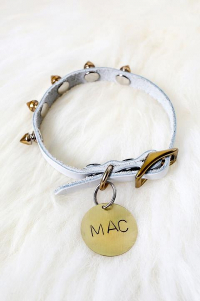 Делаем ошейник с медальоном