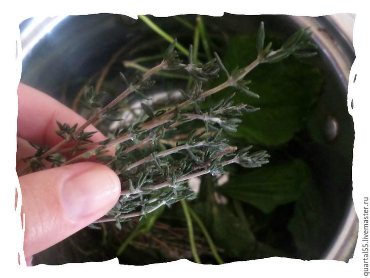 Готовим полезный и ароматный шампунь на травах и маслах