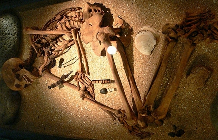 Малоизвестные факты о викингах, которые стали известными благодаря археологическим находкам