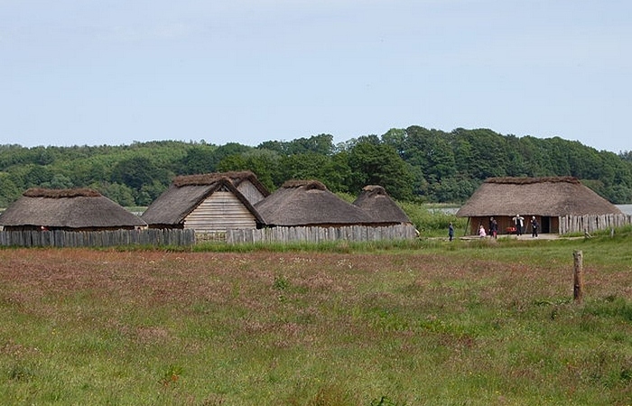 Малоизвестные факты о викингах, которые стали известными благодаря археологическим находкам