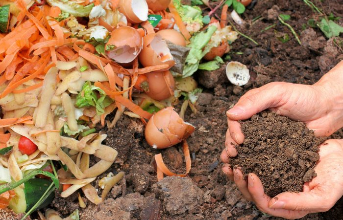 Неожиданные археологические находки, которые позволяют взглянуть на историю с нового ракурса