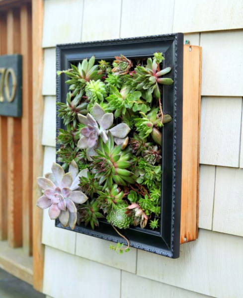 Оригинальные примеры повторного использования рамок