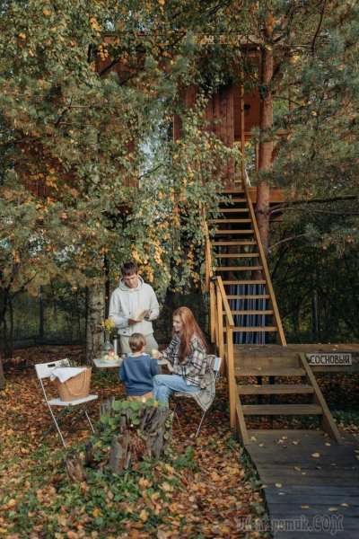 Отдых в России. Домики на дереве.