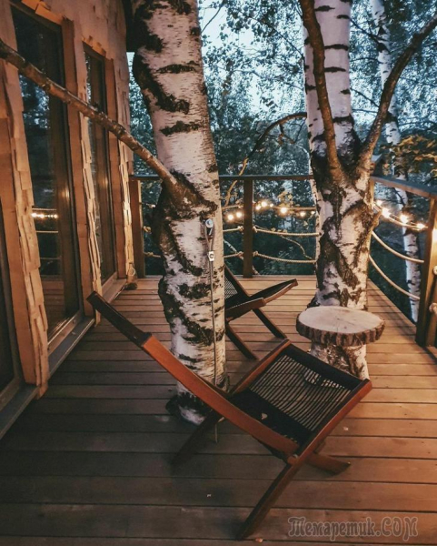 Отдых в России. Домики на дереве.