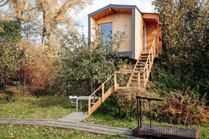 Отдых в России. Домики на дереве.