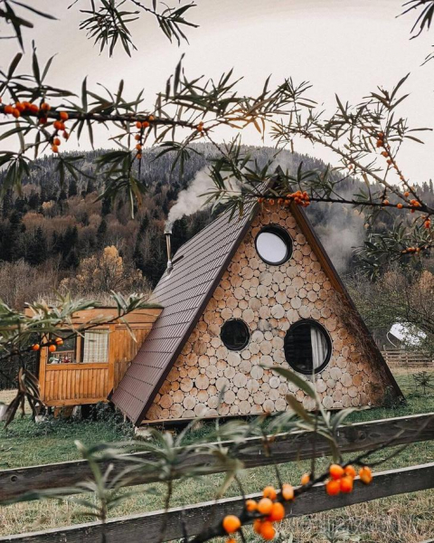 Отдых в России. Домики на дереве.