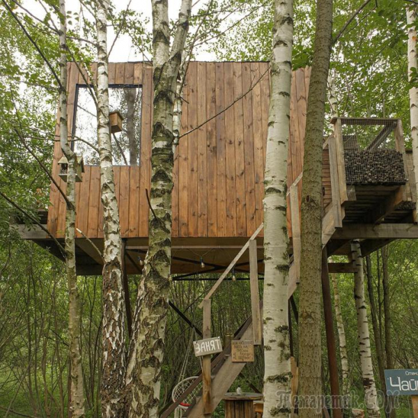 Отдых в России. Домики на дереве.