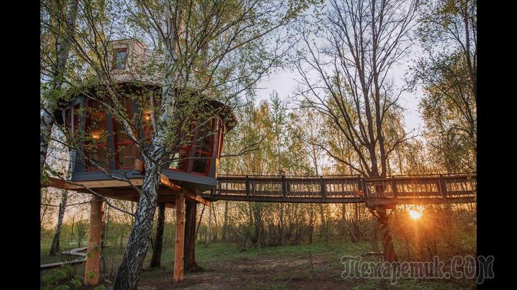 Отдых в России. Домики на дереве.
