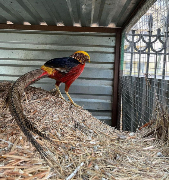 Роскошные интерьеры, качественные процедуры и «единственный неприятный момент»: отзыв об отдыхе в Ессентуках