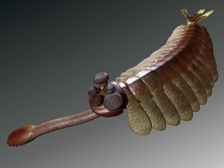 10 вымерших животных с удивительными свойствами