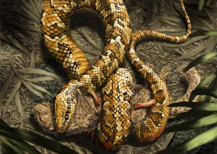 10 вымерших животных с удивительными свойствами