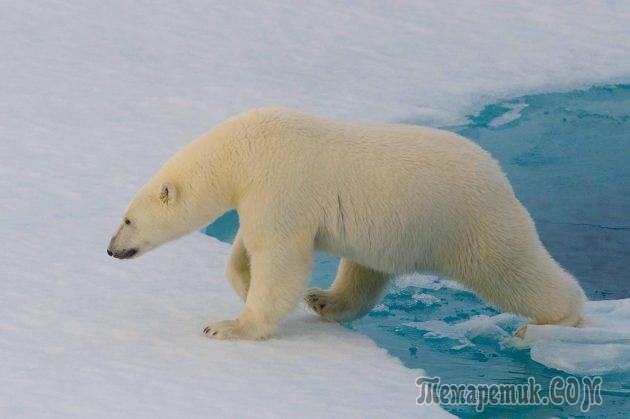 13 научных фактов, которые расширят ваши знания о мире