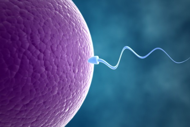 25 фактов о ДНК, которые помогут вам разобраться в себе