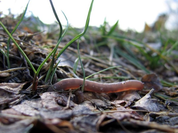 25 фактов о ДНК, которые помогут вам разобраться в себе