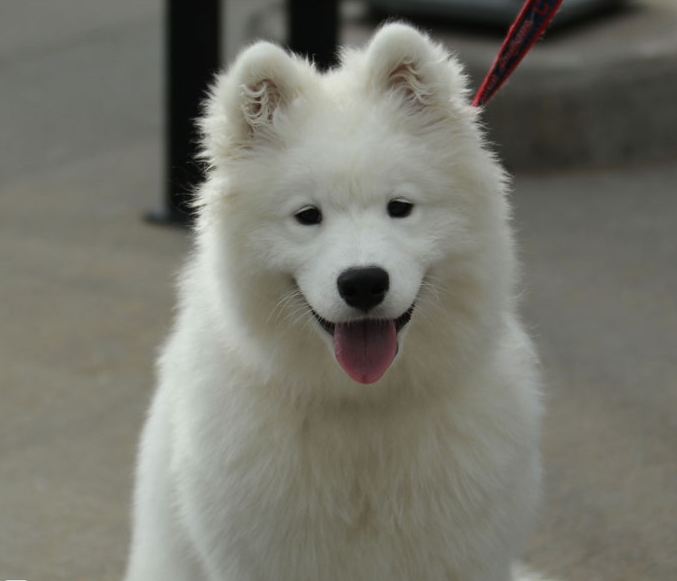 25 интересных фактов об Исландии