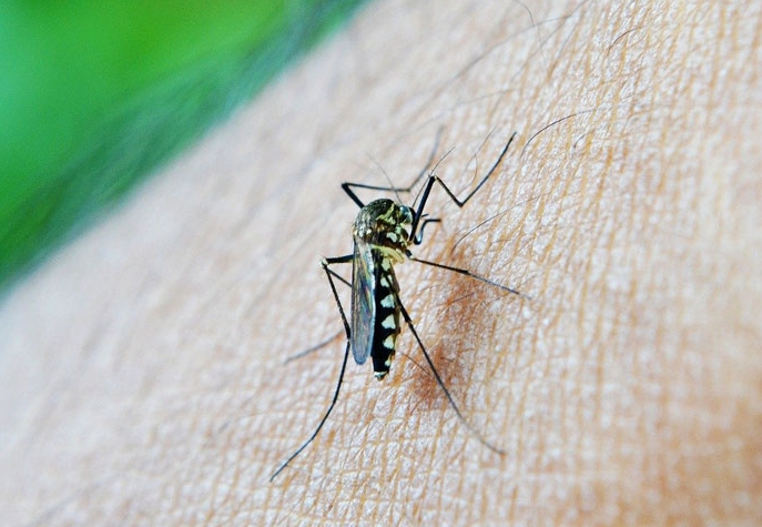 25 интересных фактов об Исландии