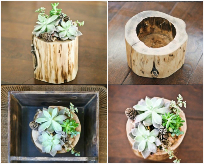 Идеи использования деревянных пней для декора дома и сада