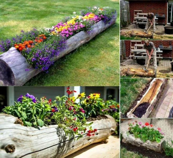 Идеи использования деревянных пней для декора дома и сада