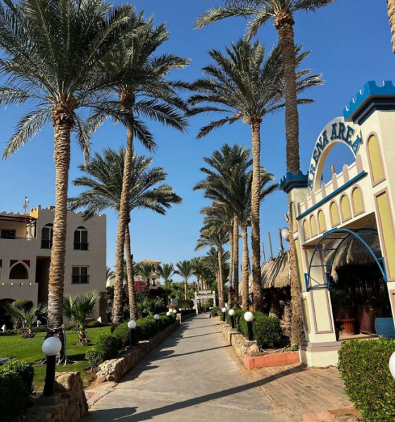 «Им даже доллар не помогает»: отзыв о Шарм-эль-Шейхе