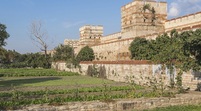 Какие тайны хранят 8 легендарных древних библиотек