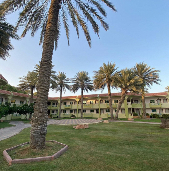 «Лучше бы за эти деньги отдохнули в Турции»: отрицательный отзыв об ОАЭ