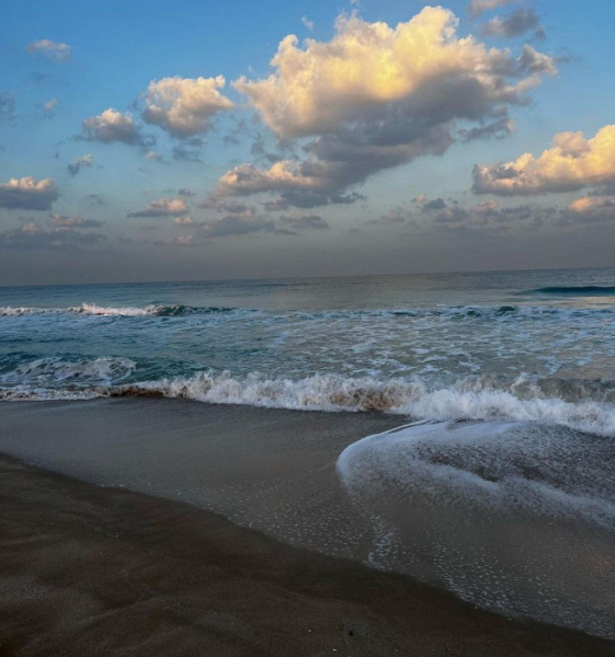 «Лучше бы за эти деньги отдохнули в Турции»: отрицательный отзыв об ОАЭ