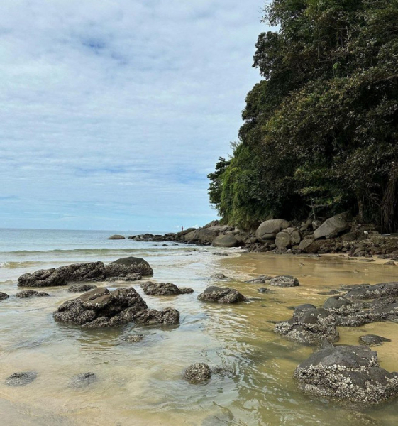 «Менеджер показала отель, и я влюбилась»: отзыв о Пхукете