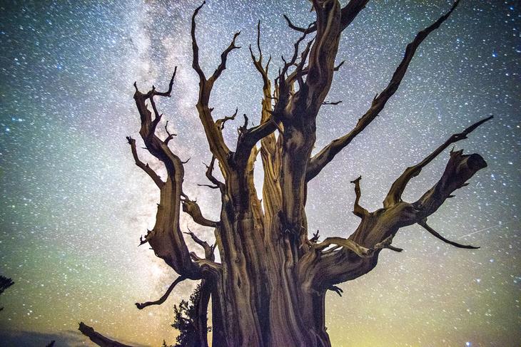 Научные факты о земле, которые вы не знали