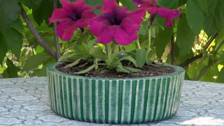 Оригинальное применение упаковки из-под торта