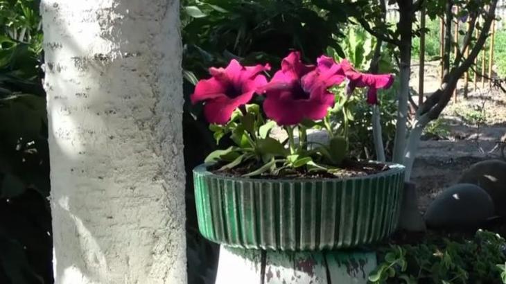 Оригинальное применение упаковки из-под торта