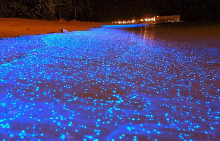 Пуэрто-Рико: достопримечательности и красивые места