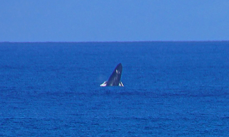 Пуэрто-Рико: достопримечательности и красивые места