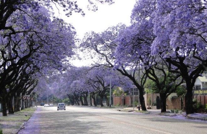 20 самых красивых, ярких и необычных улиц со всего мира