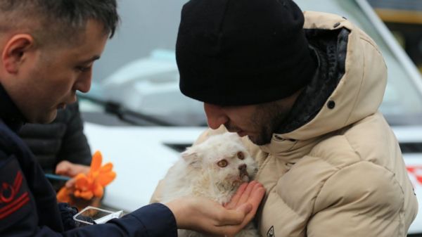 Мощные землетрясения в Турции и Сирии. Поиски людей продолжаются. Фотографии