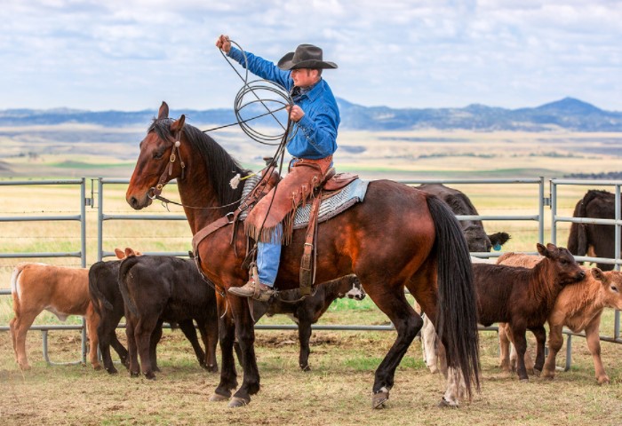 8 фактов, которые доказывают, что Запад называют диким не просто так