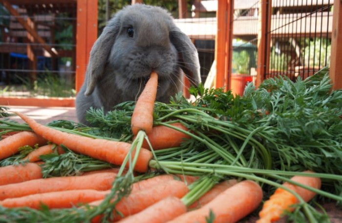 9 знакомых с детства фактов, которые оказались неправдой