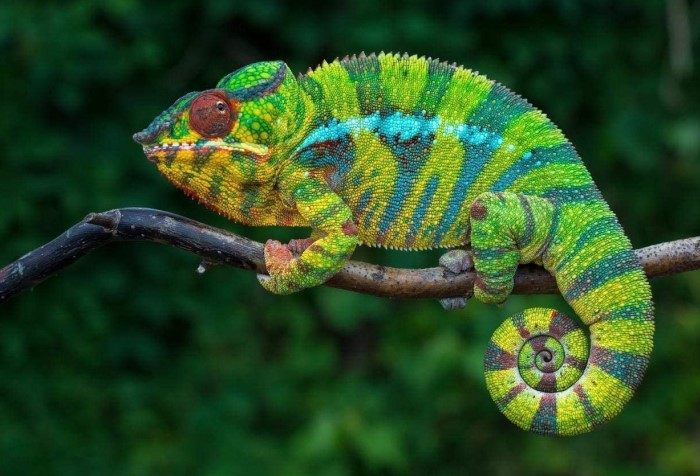 9 знакомых с детства фактов, которые оказались неправдой