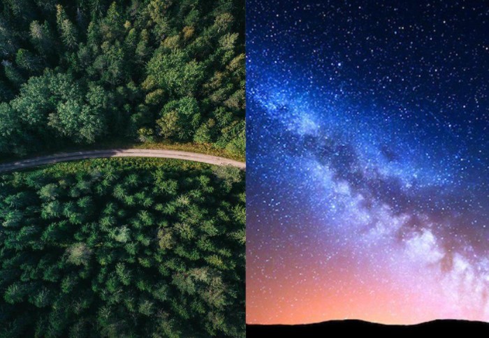 9 знакомых с детства фактов, которые оказались неправдой