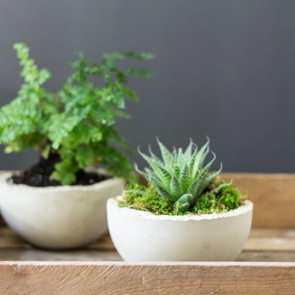 Цветочные горшки, сделанные из обычного цемента