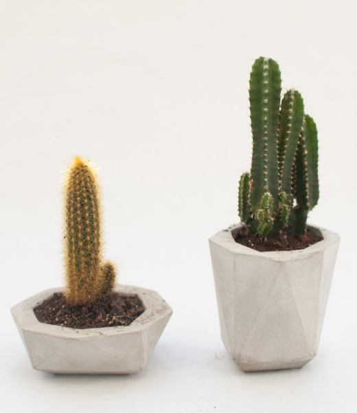 Цветочные горшки, сделанные из обычного цемента