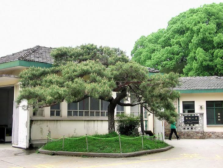 Достопримечательности Ухани: то, что мы не знали об одном из самых интересных городов Китая