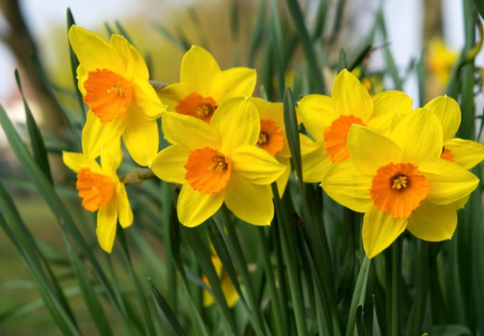 Как McDonald’s пробуждает аппетит, почему китайцы не любят зеленый: 10 неожиданных фактов о цвете