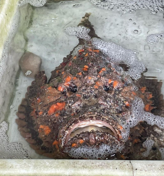 «Не взяли бы этот отель никогда»: отрицательный отзыв о свадебном путешествии на Пхукет