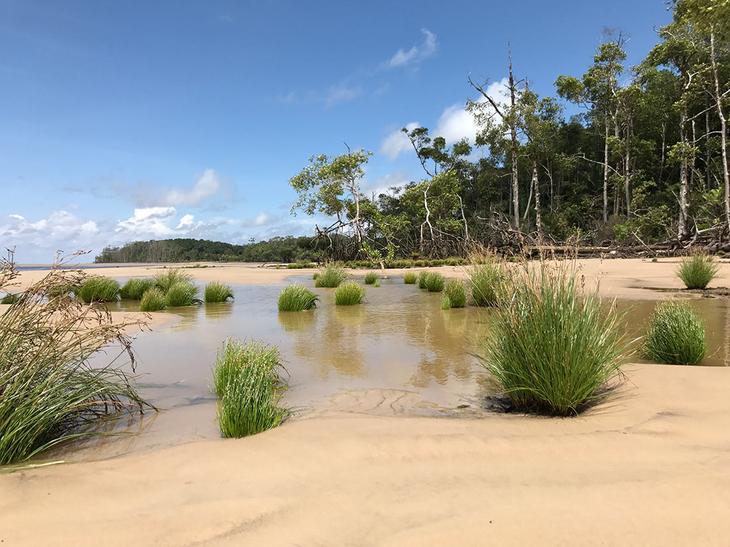 Острова Бразилии: 10 самых красивых и сказочных мест