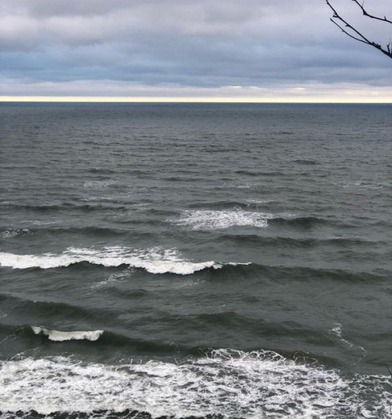 «Порции отмеряют по граммам»: разгромный отзыв о лечении в Калининградской области