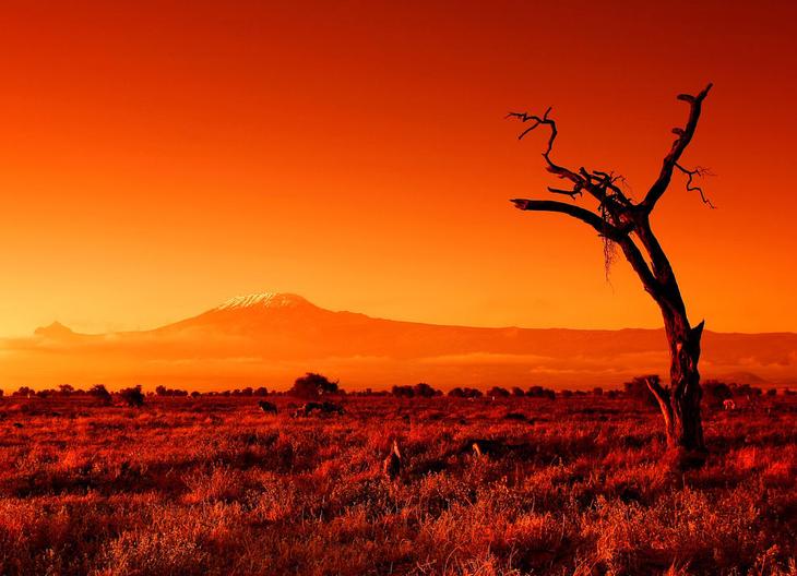 Самые высокие горы на 6 континентах