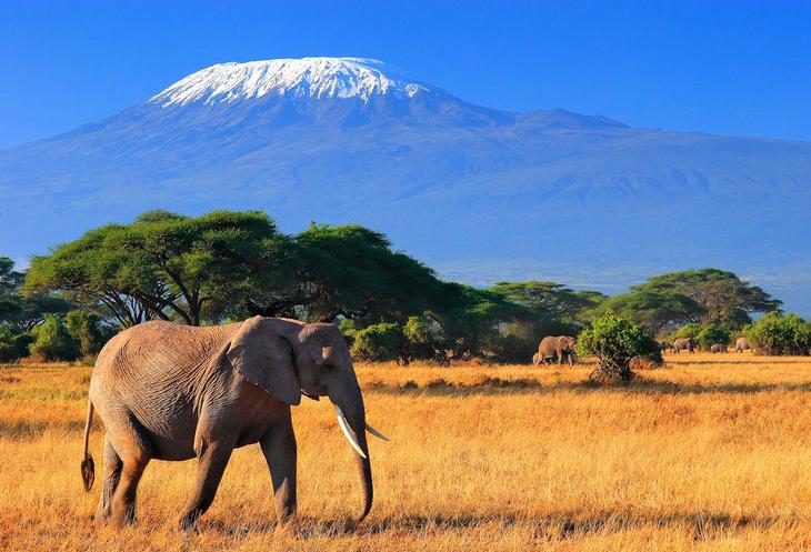 Самые высокие горы на 6 континентах