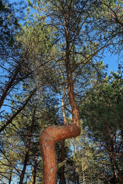 Самые загадочные места на Земле